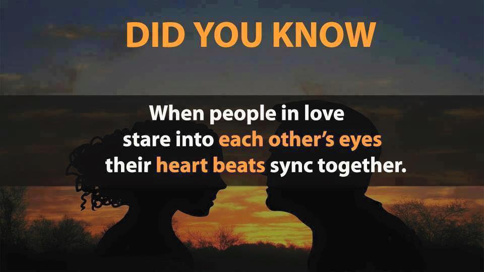 did you know facts about love
